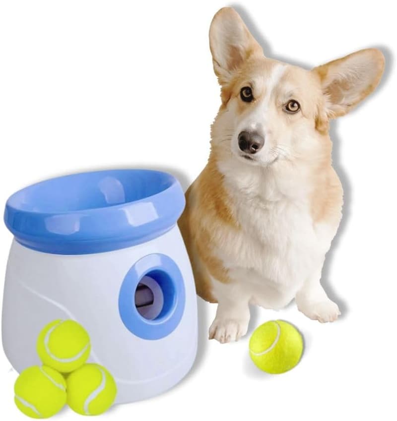 Automatischer Ballwerfer für kleine Hunde, inkl. 3 Bälle - blau