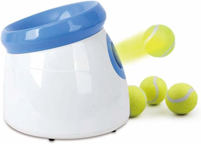 Automatischer Ballwerfer für kleine Hunde, inkl. 3 Bälle - blau