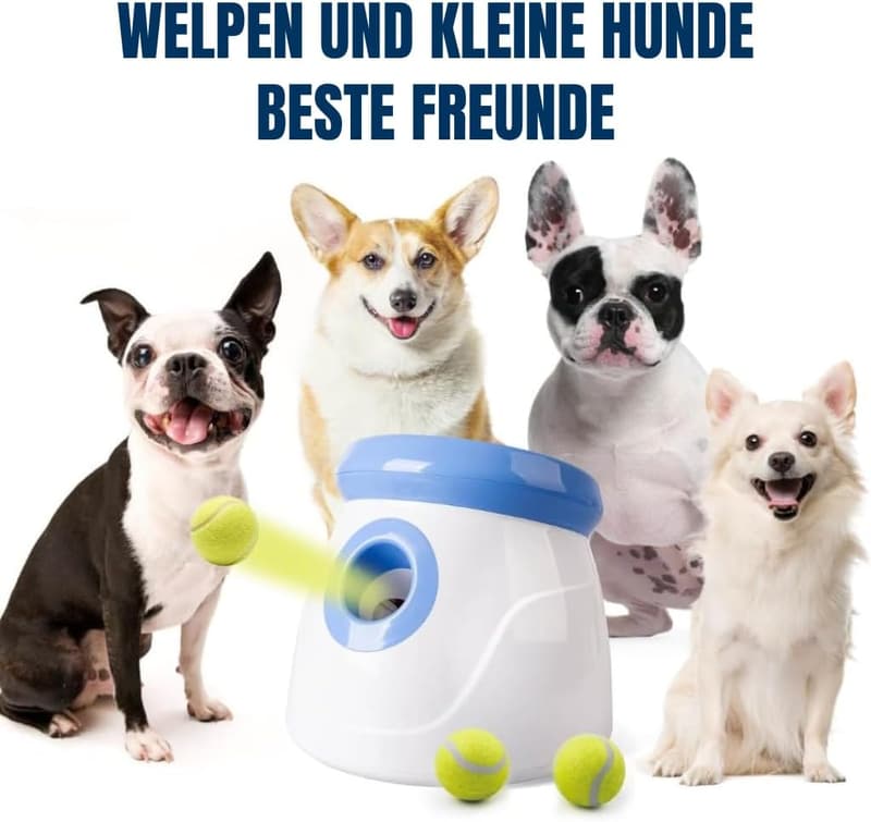 Automatischer Ballwerfer für kleine Hunde, inkl. 3 Bälle - blau