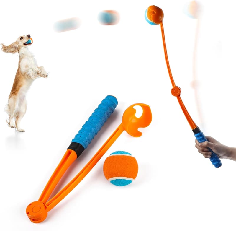 Ballwurfmaschine für Hunde – Klappbare Ballschleuder mit Tennisball