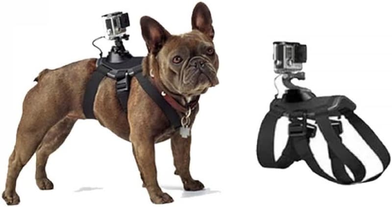 Verstellbares GoPro-Hundegeschirr für große, mittlere und kleine Hunde