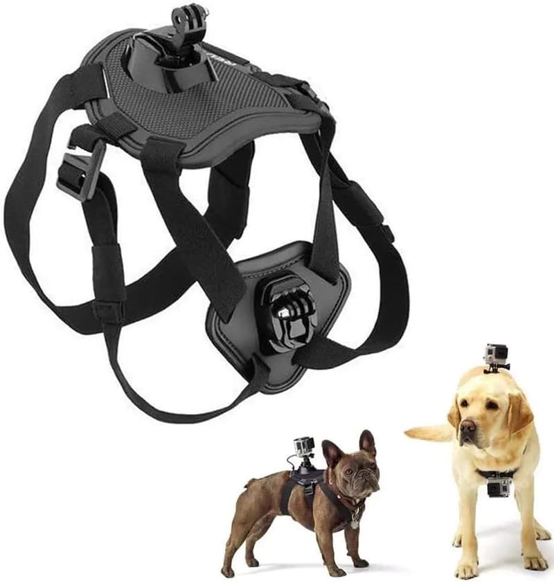 Verstellbares No-Pull Hundegeschirr mit Kamera-Montagehalterung