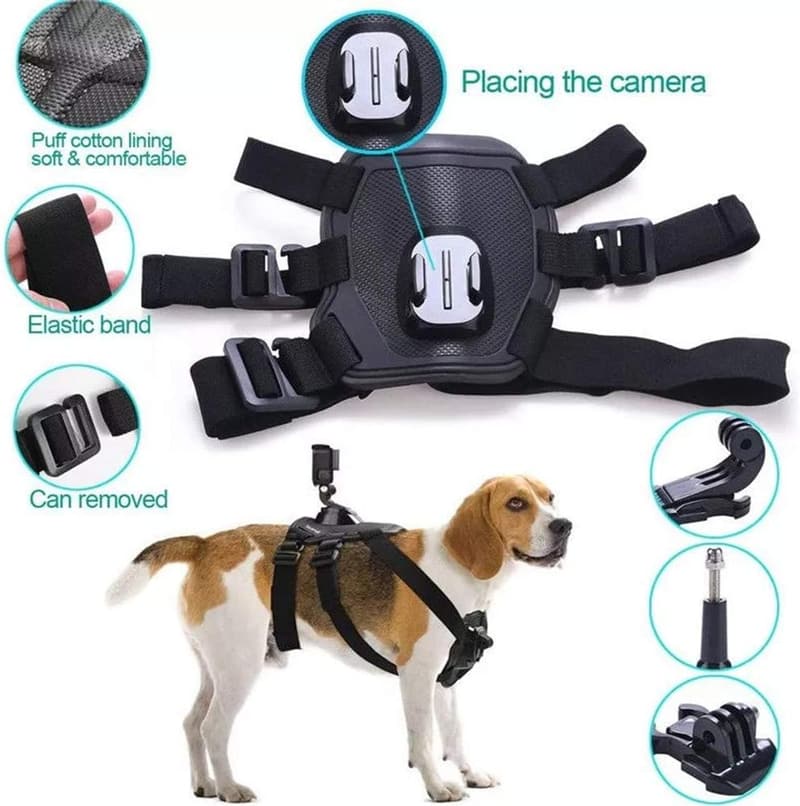 Verstellbares No-Pull Hundegeschirr mit Kamera-Montagehalterung