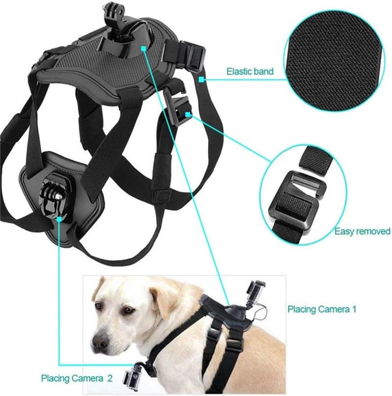 Verstellbares No-Pull Hundegeschirr mit Kamera-Montagehalterung