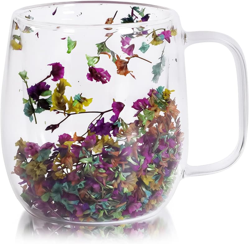 Getrocknete Blumen Latte Macchiato Gläser mit Griff, 250ml