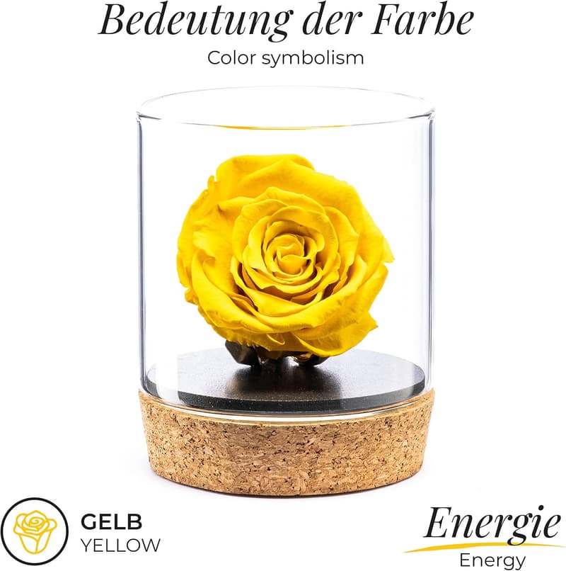 Ewige Rose im Glas mit 24 Karat vergoldetem Kelch – Geschenkidee für Paare
