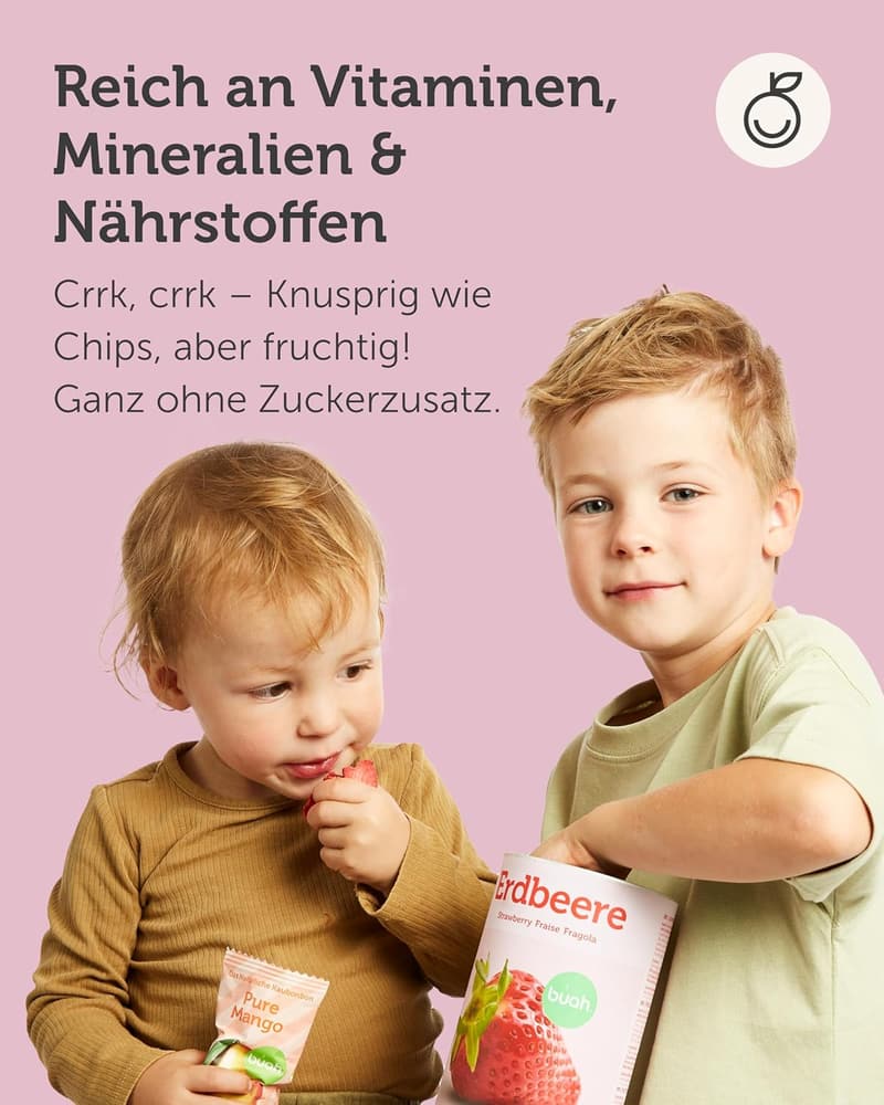 Gefriergetrocknete Erdbeer-Chips, vegan und ohne Zuckerzusatz, 96g