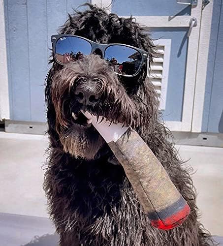 Lustiges Plüsch-Spielzeug für Hunde – Geburtstagsgeschenk für Hunde