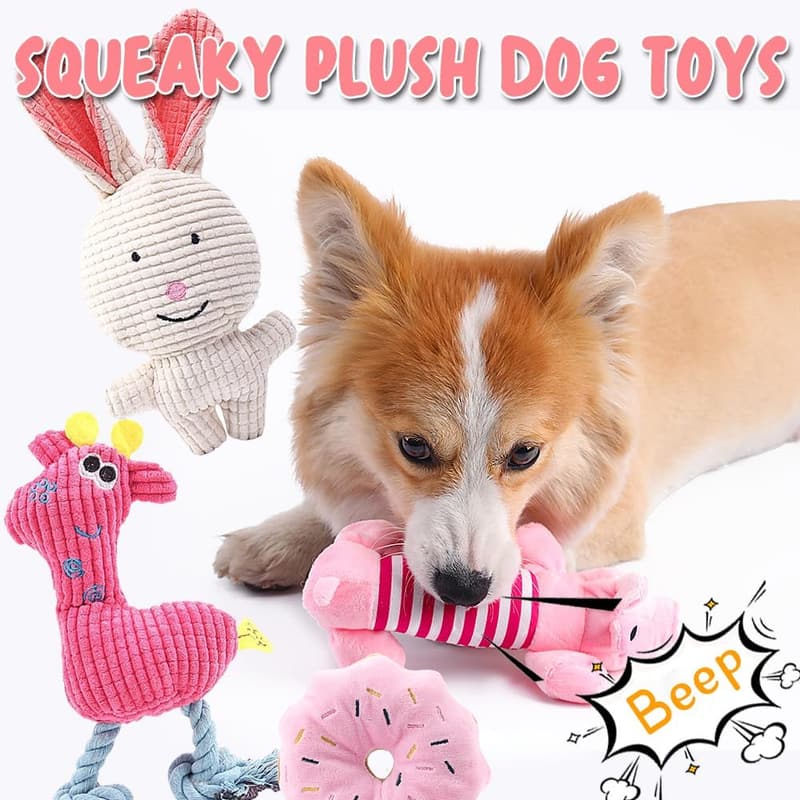 Hundespielzeug-Set für kleine und mittlere Hunde | 6-teilig, robust & sicher