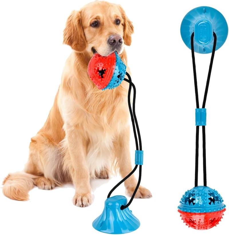 Hundespielzeug mit Saugnapf - Zahnbürste für Hunde zum Kauen