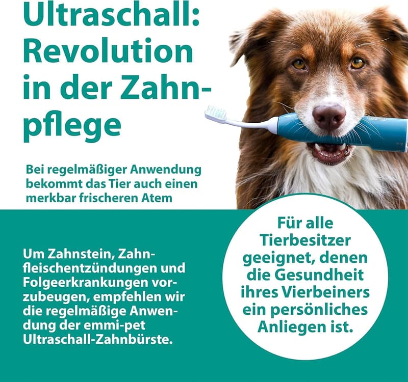 Ultraschall-Zahnbürste für Hunde & Katzen - geräuschlos, bekämpft Zahnstein & Mundgeruch