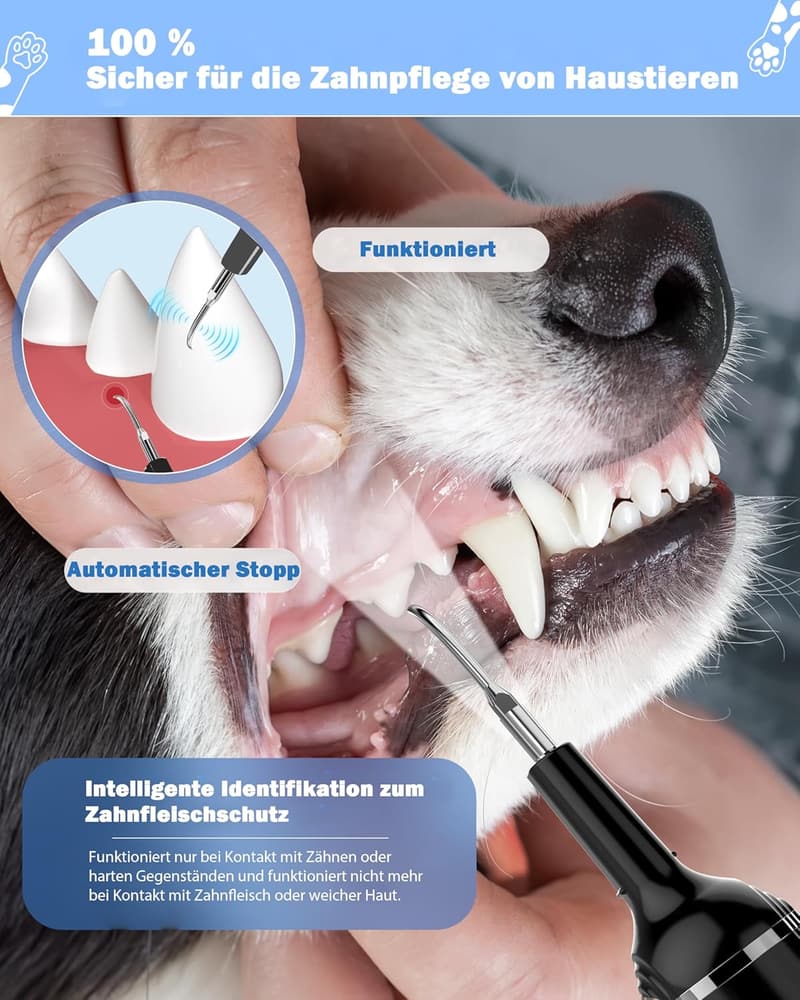 Ultraschall Zahnreiniger für Hunde mit LED-Licht und Zahnbürste