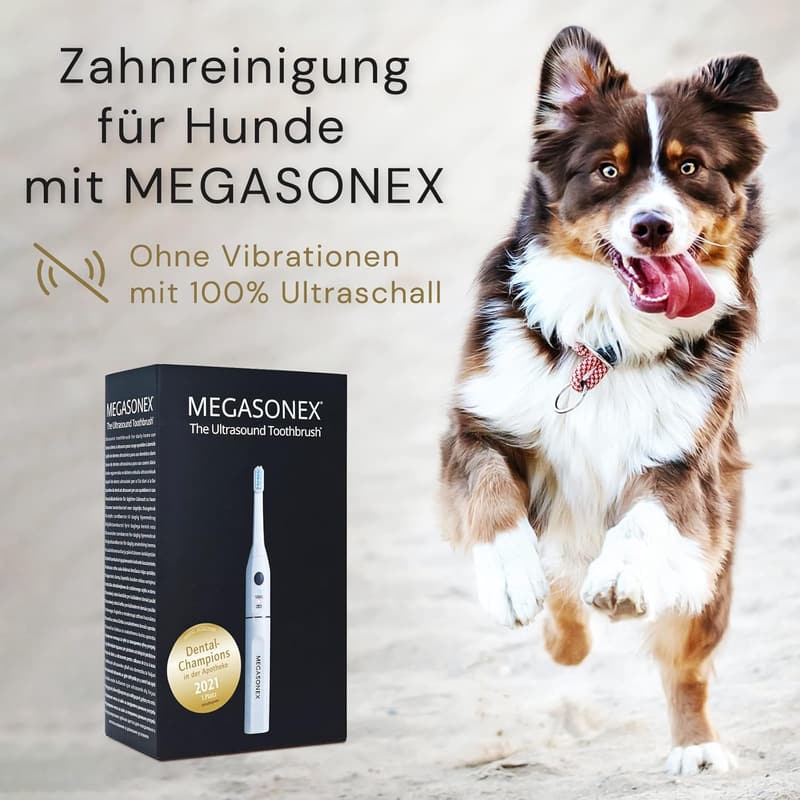 Ultraschall-Zahnbürste für Hunde – Elektrisch, mit Vibration, für kleine & große Hunde
