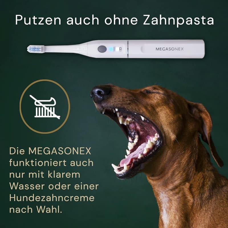 Ultraschall-Zahnbürste für Hunde – Elektrisch, mit Vibration, für kleine & große Hunde