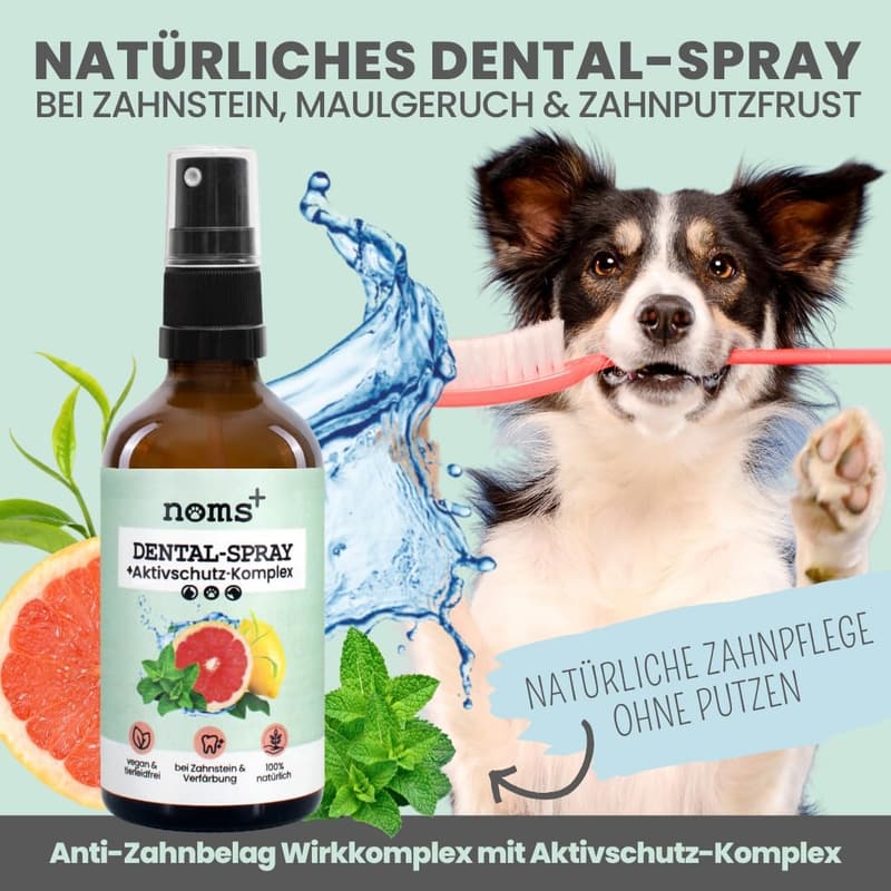 Natürlicher Dental-Spray für Hunde & Katzen – 100% Zahnreinigung, gegen Zahnstein & Mundgeruch