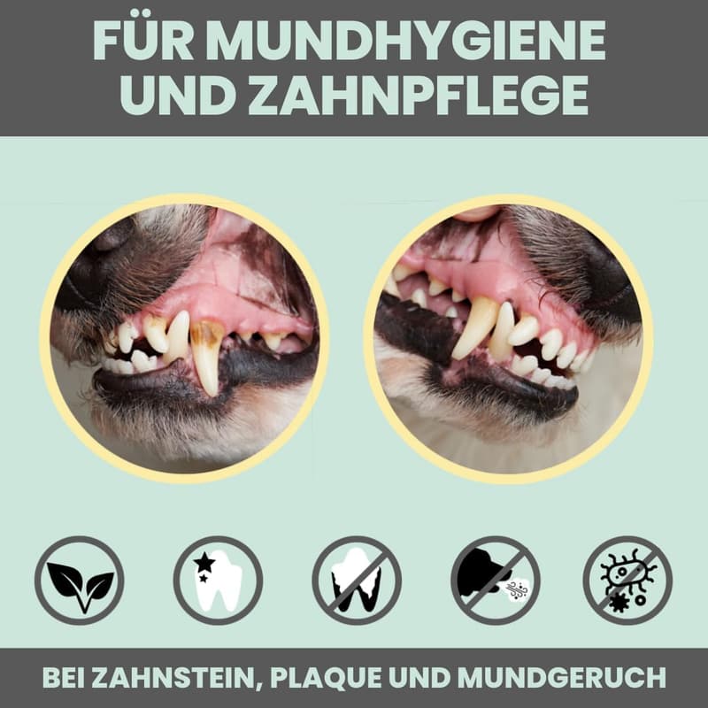 Natürlicher Dental-Spray für Hunde & Katzen – 100% Zahnreinigung, gegen Zahnstein & Mundgeruch