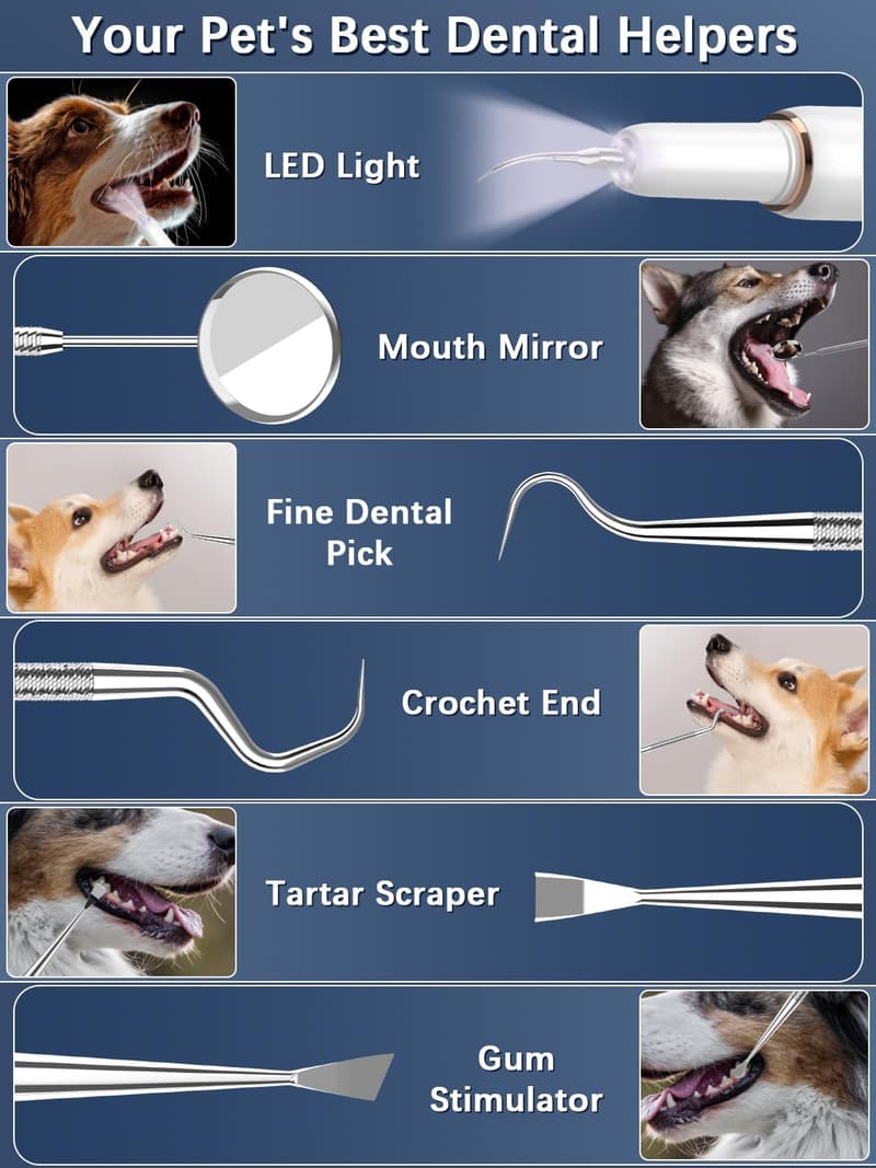 Zahnreiniger für Haustiere mit 5 Modi und LED-Licht