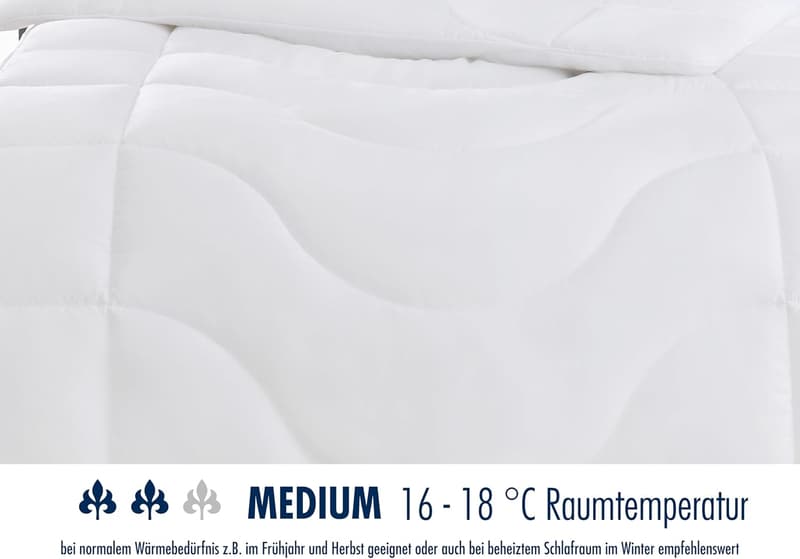 Irisette Lotte Steppdecke 135x200 cm - Hochwertiges Top Cool Gewebe, 95° waschbar, inkl. Aufbewahrungstasche