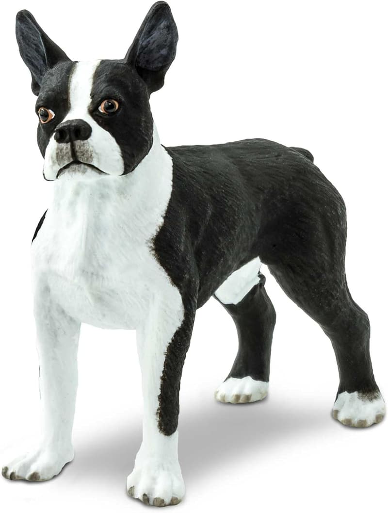 Boston Terrier Figur von Safari Ltd. - Best in Show