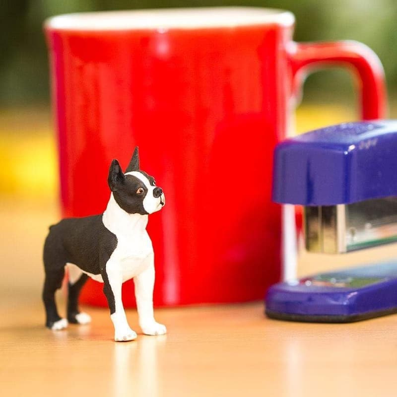 Boston Terrier Figur von Safari Ltd. - Best in Show