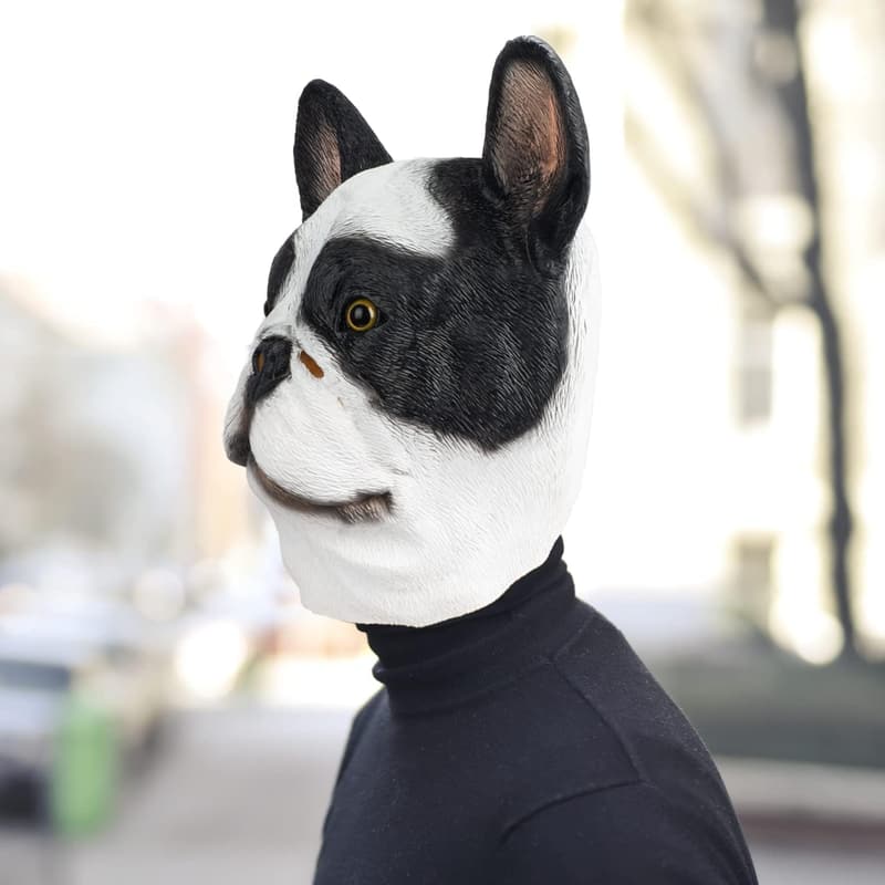 Realistische Boston Terrier Maske aus Latex für Halloween-Kostüme