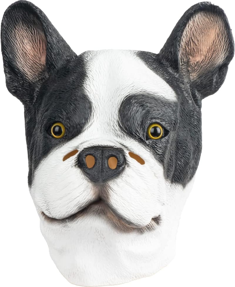 Realistische Boston Terrier Maske aus Latex für Halloween-Kostüme