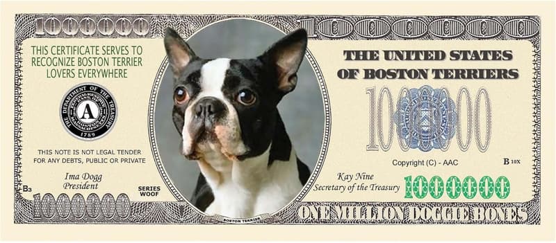 Boston Terrier Million Dollar Bill - 5er Set für Boston Terrier Liebhaber