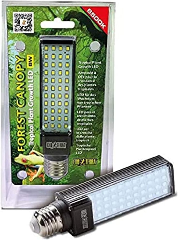 Energieeffiziente LED Lampe für tropische Pflanzen im Terrarium, 8W E27, 6500 K