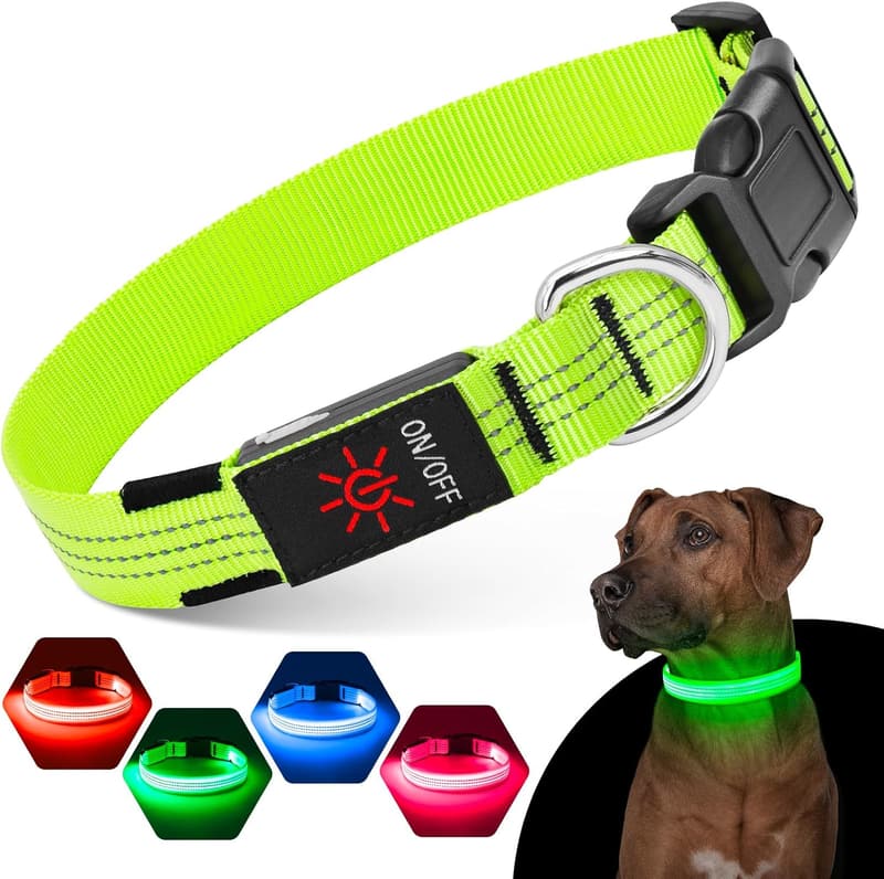 Aufladbares LED-Leuchthalsband für Hunde – Verstellbar mit 3 Lichtmoden, Grün