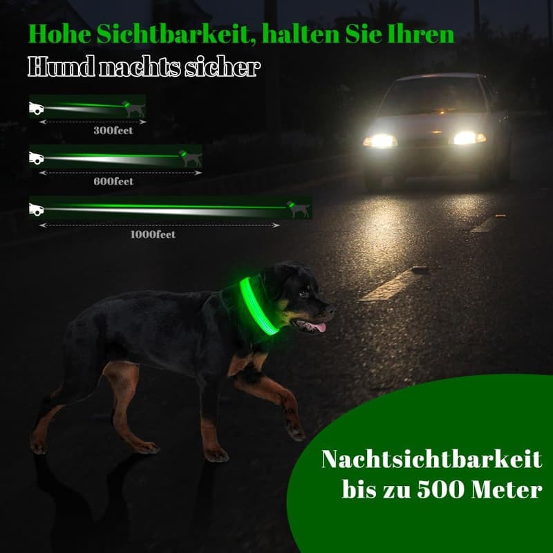 Aufladbares LED-Leuchthalsband für Hunde – Verstellbar mit 3 Lichtmoden, Grün