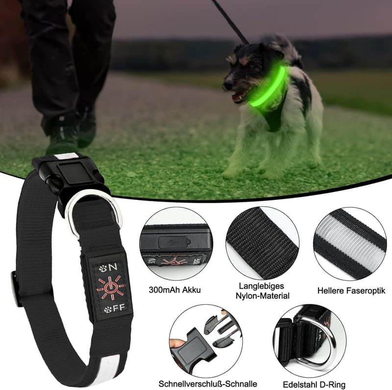Leuchthalsband für Hunde - USB aufladbar, 6 Farbwechsel, verstellbar