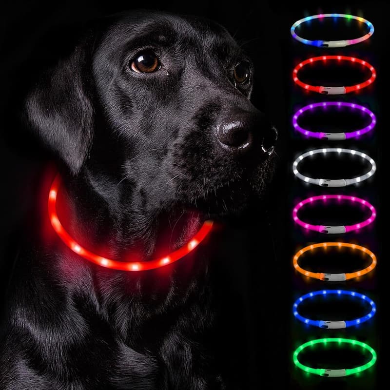 Leuchtendes Hundehalsband, wasserdicht, USB aufladbar, rot