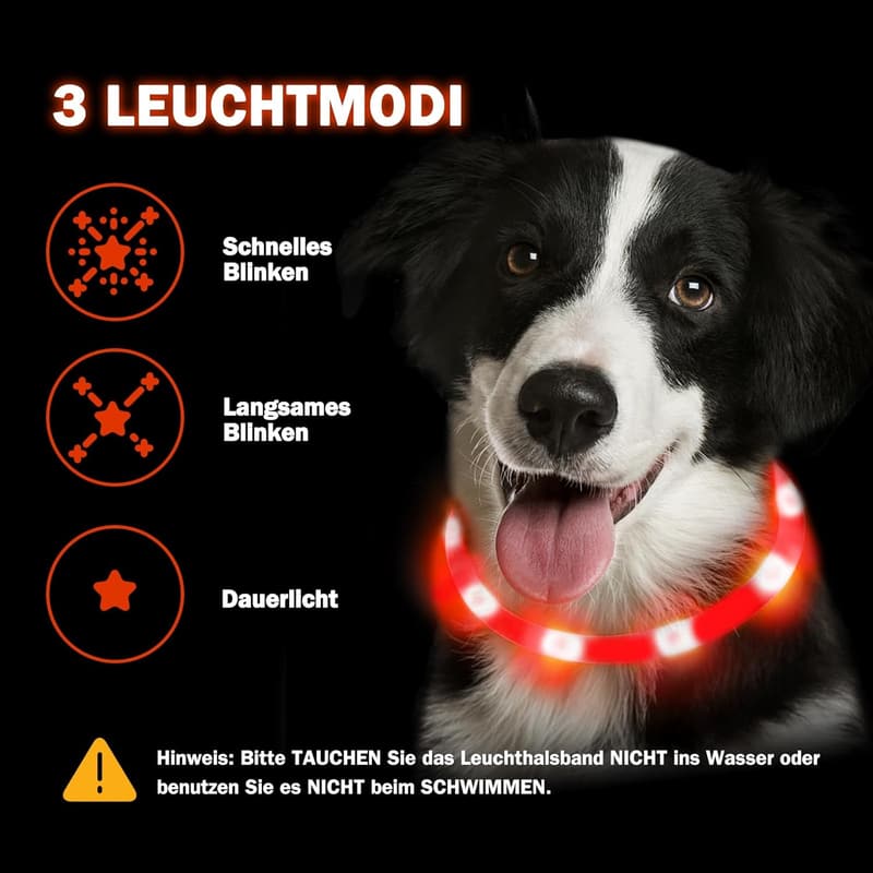 Leuchtendes Hundehalsband, wasserdicht, USB aufladbar, rot