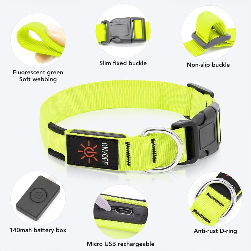 Wiederaufladbares LED-Hundehalsband, wasserdicht, verstellbar für mittlere Hunde (Grün, M)