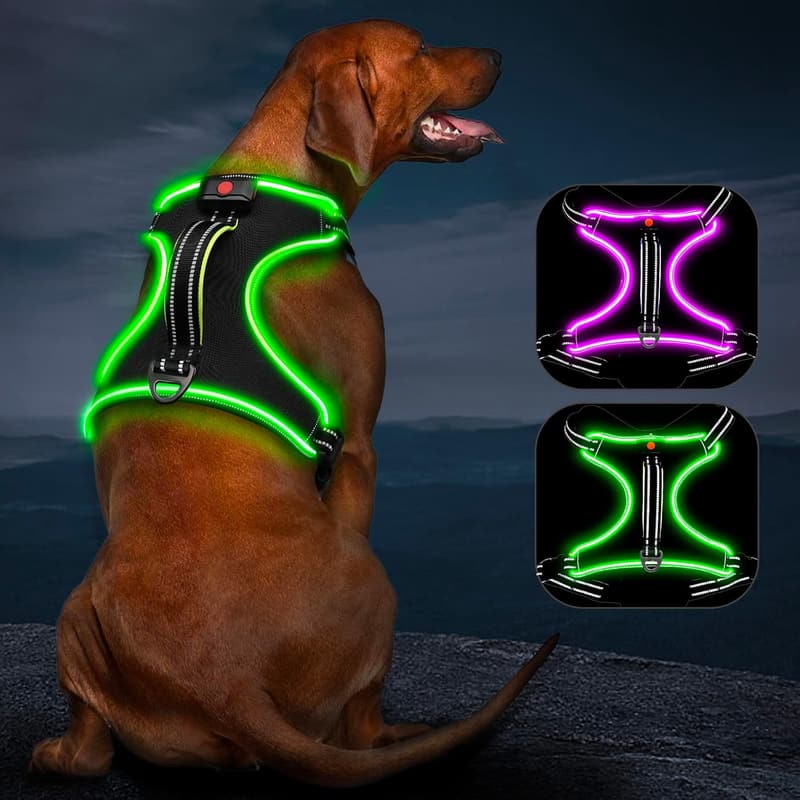Wiederaufladbares LED-Hundegeschirr für kleine bis große Hunde