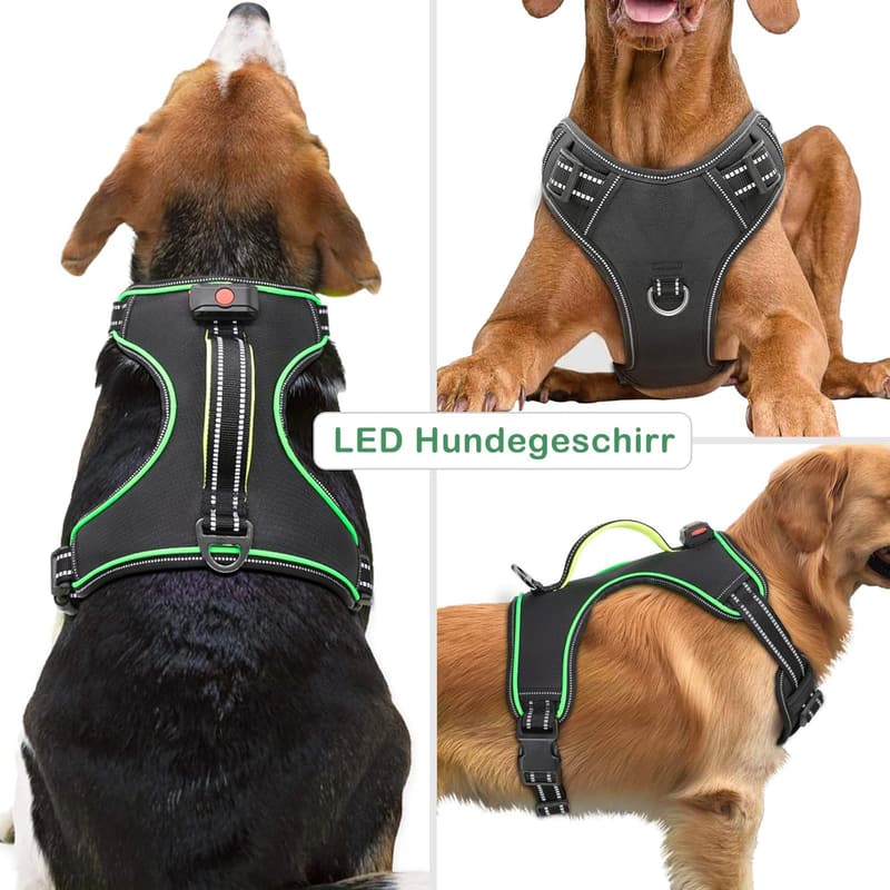 Wiederaufladbares LED-Hundegeschirr für kleine bis große Hunde