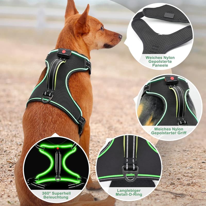 Wiederaufladbares LED-Hundegeschirr für kleine bis große Hunde