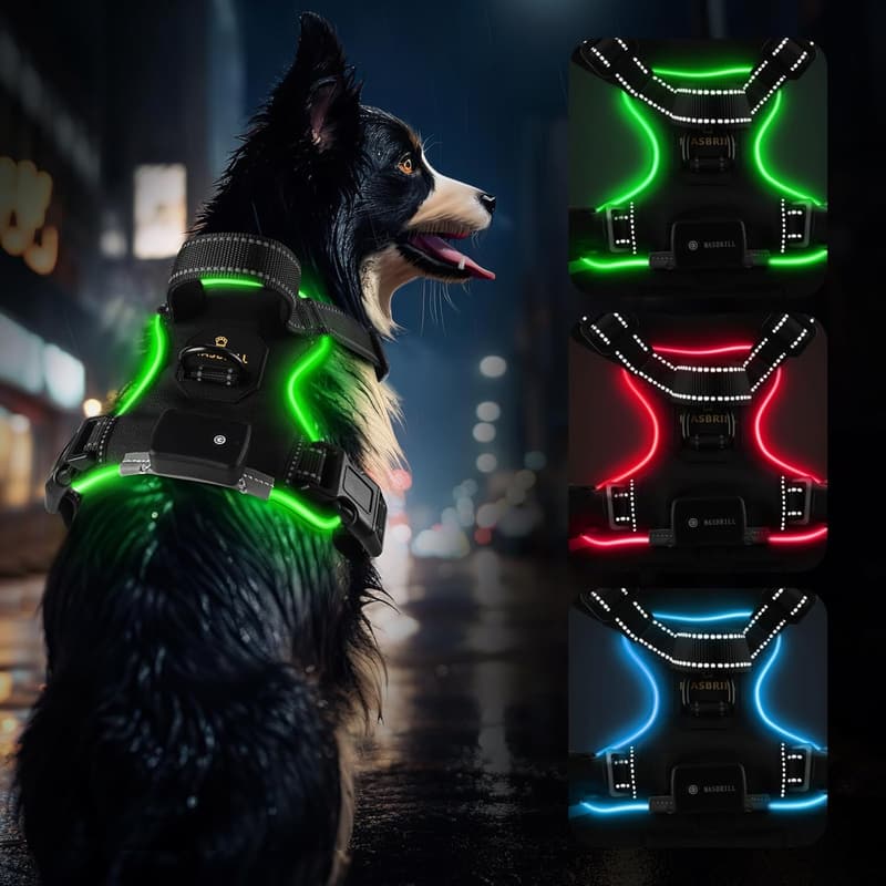 Aufladbares LED-Hundegeschirr mit reflektierenden Details für kleine bis mittelgroße Hunde (Grün M)