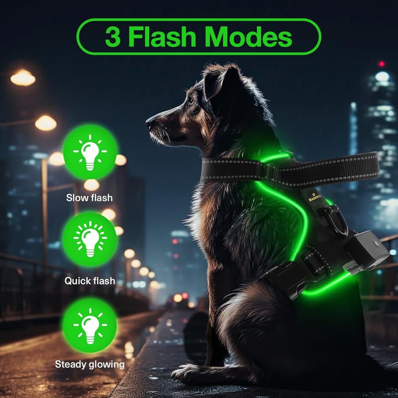 Aufladbares LED-Hundegeschirr mit reflektierenden Details für kleine bis mittelgroße Hunde (Grün M)