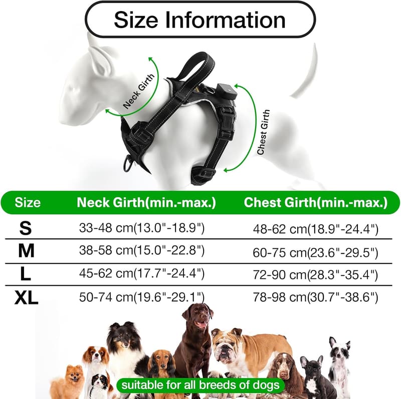 Aufladbares LED-Hundegeschirr mit reflektierenden Details für kleine bis mittelgroße Hunde (Grün M)