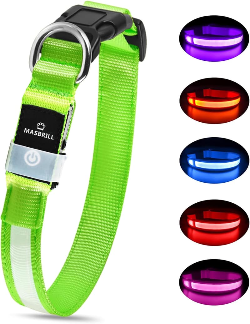 Leuchthalsband für Hunde, aufladbar, wasserdicht, 3 Lichtmodi, grün