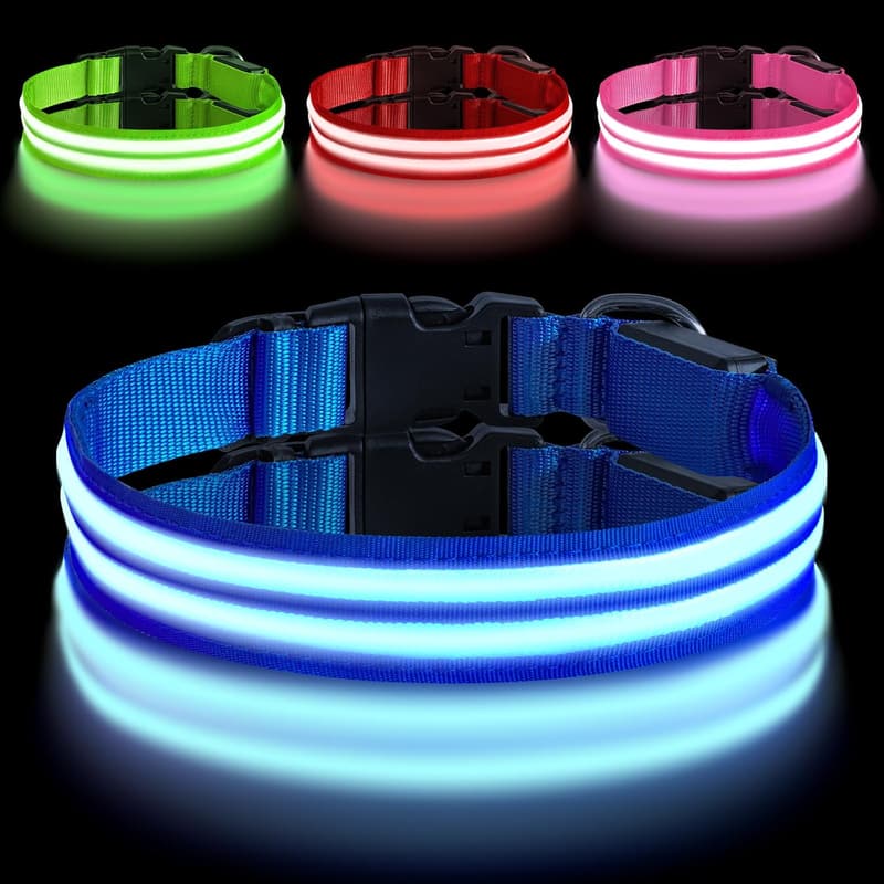 Leuchthalsband für Hunde, Aufladbar mit 3 Modi, LED, Blau, Wasserdicht