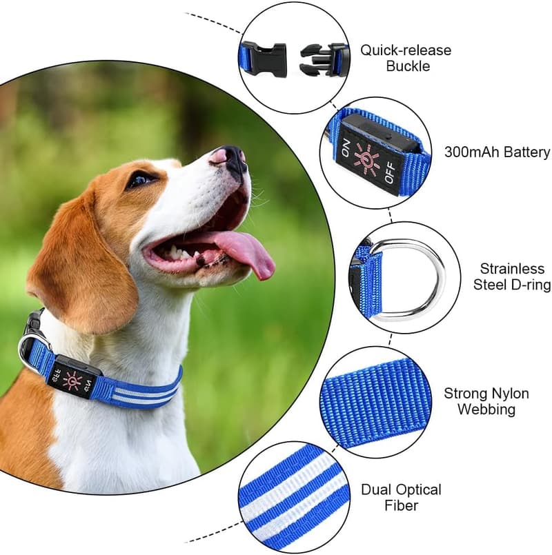 Leuchthalsband für Hunde, Aufladbar mit 3 Modi, LED, Blau, Wasserdicht