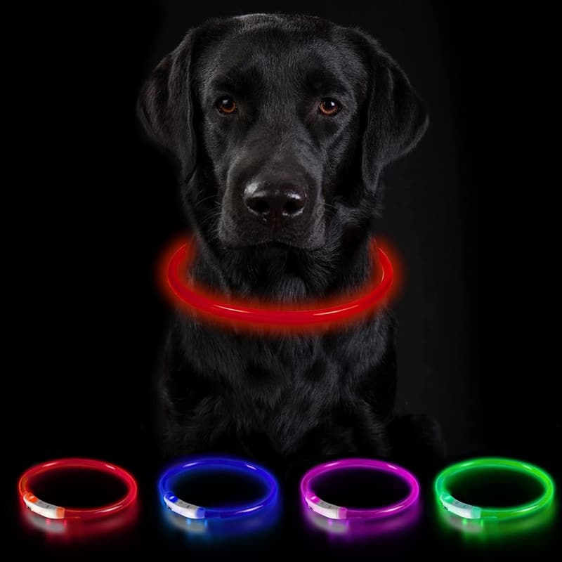 Leuchthalsband für Hunde – USB aufladbar, wasserdicht, 3 Modi