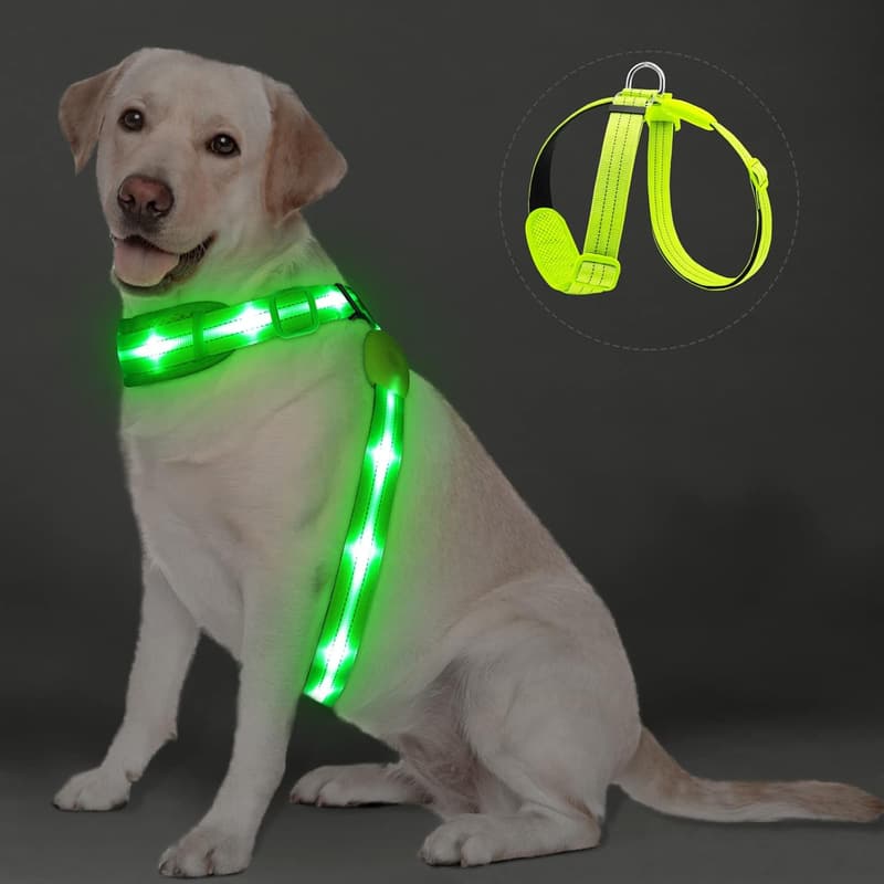 Wiederaufladbares LED Hundegeschirr, gepolstert und reflektierend (Grün)