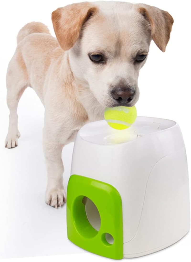 Interaktives Hundespielzeug 