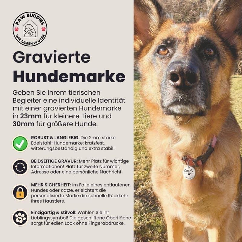 Personalisierte Edelstahl-Hundemarke mit Gravur – 23 mm, Silber