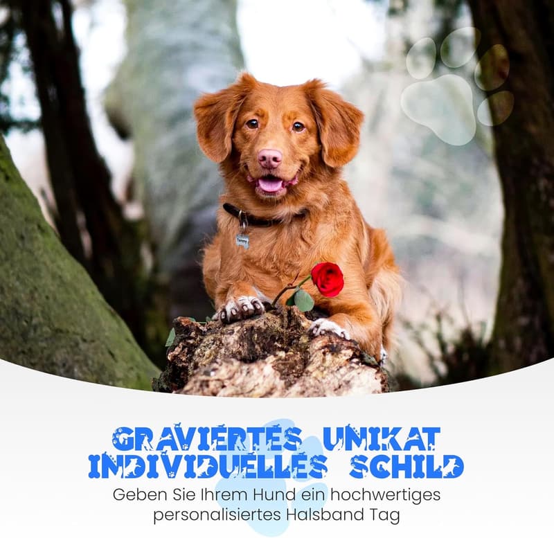 Personalisierte Edelstahl-Hundemarke mit Gravur – 30mm Knochenform