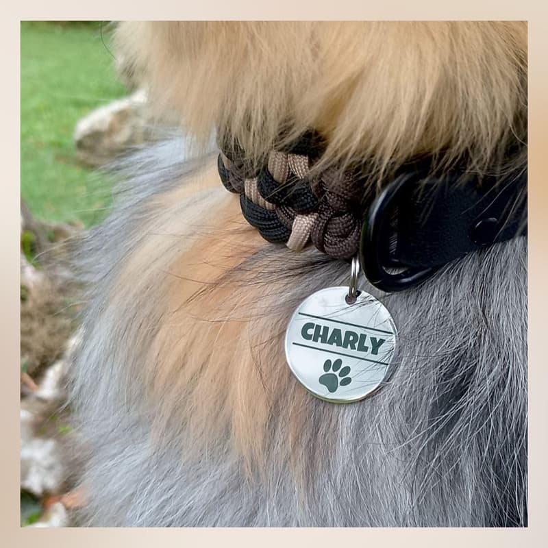 Personalisierte Edelstahl-Hundemarke mit Gravur – 25mm oder 30mm