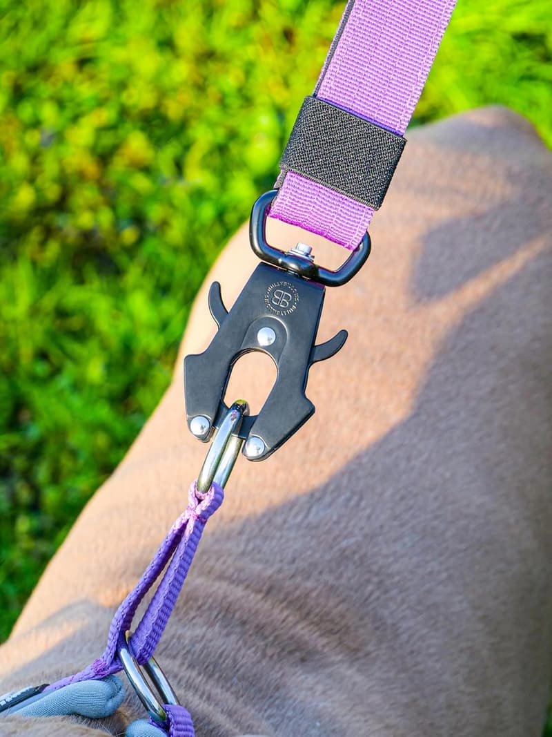 BullyBillows Hundeleine mit Kurzgriff – Gepolstert und robust (Rosa)